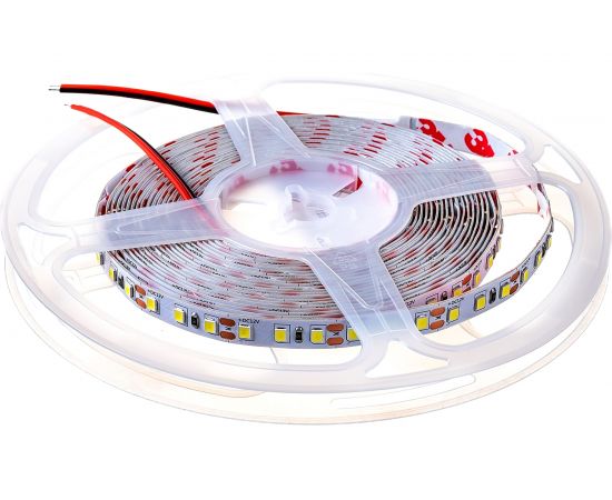 Лента Jazzway PLS 2835/120-12V - W IP20 5m белый свет 2859051 – изображение 2
