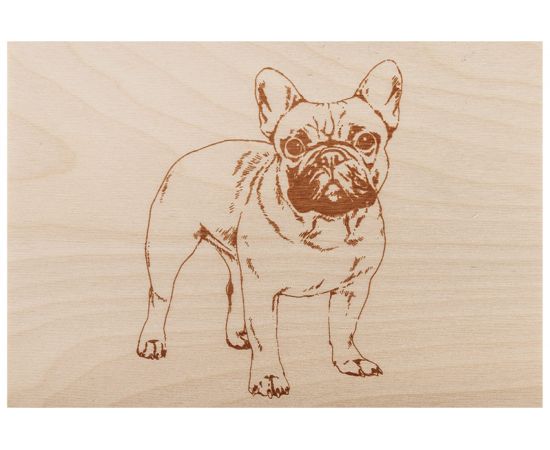 Доски для выжигания REXANT «Набор № 3 формат А5» 12-0938 – изображение 5