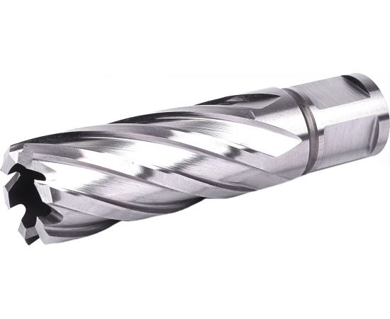 Фреза кольцевая №18 (25х55/88 мм; WELDON19; HSS M2) Профоснастка 40101018 