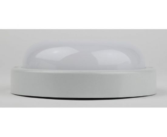 Светодиодный настенно-потолочный ЖКХ светильник ЭРА SPB-201-0-40K-018 IP65, D 210 мм, матовый, Б0054579 – изображение 2