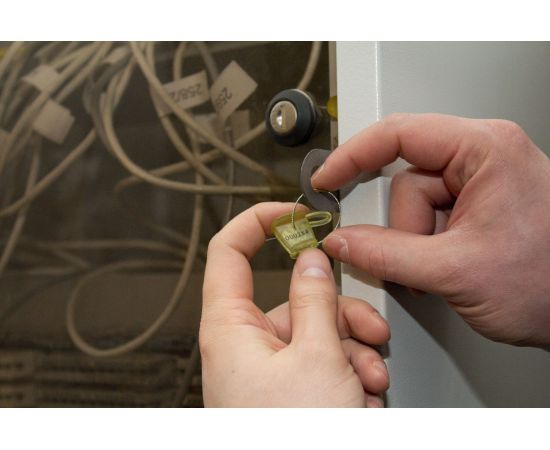 Пластиковая номерная пломба c проволокой Пломба.Ру Цвет желтый 100 шт. в упаковке КПП-2-2205 – изображение 2