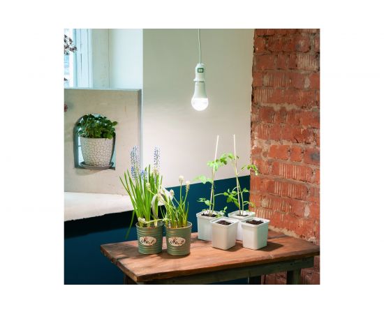 Металлическая подставка для светильника Uniel ULI-P UFP-G20S H50 WHITE UL-00007139 – изображение 4