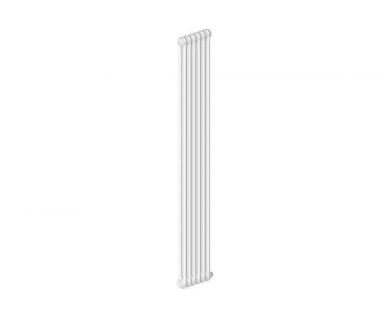 Радиатор IRSAP Tesi 2 21800/06 CL.01 белый T26 RR218000601A426N01 – изображение 5