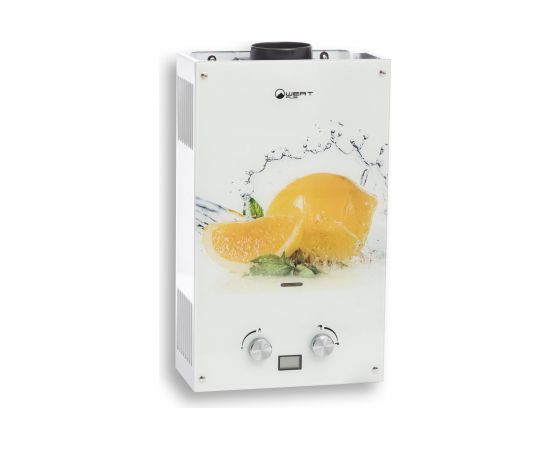 Газовый проточный водонагреватель WERT 10EG LEMON 