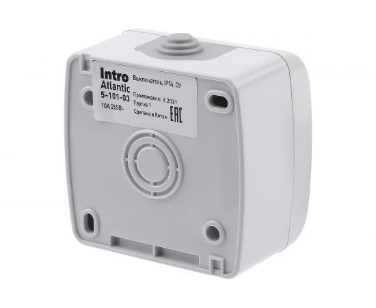 Выключатель Intro Atlantic 5-101-03 10А-250В IP54 открытой установки серый Б0050940 – изображение 2