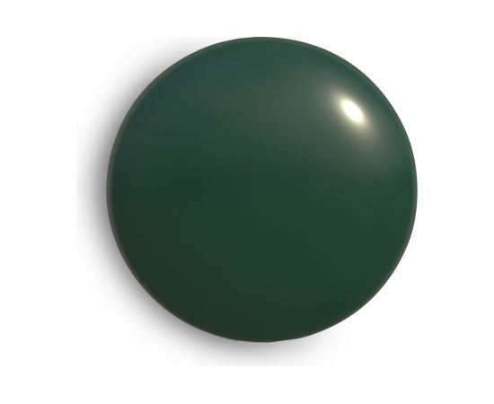 Аэрозольная краска CORALINO 520 мл, 200г, RAL6005 Зеленый мох C16005 – изображение 4