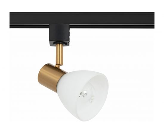 Потолочный светильник ARTE LAMP A3117PL-1BK 