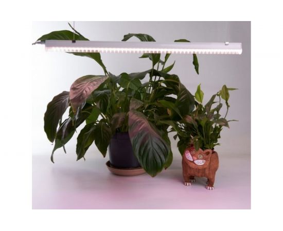 Светодиодный светильник для растений FERON 9W, пластик 41354 – изображение 6