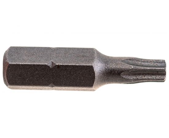 Бита Torx Tamper ТТ20, 25 мм, 2 шт. REDVERG 6623497 