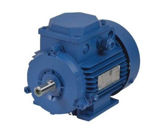 Электродвигатель МЭЗ У2-220/380-50IM1081К31Е-ААА IE1Могилев АИР71В6 0,55*1000 1081 