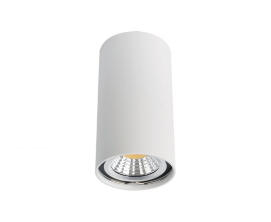 Потолочный светильник Arte Lamp A1516PL-1WH 