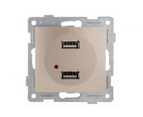 Механизм розетки GUSI ELECTRIC Bravo USB, двойной, СУ, шампань С10USB2-027 