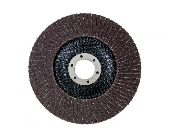 Круг лепестковый торцевой тип 27 125x22 мм, Р100 RING 249521 – изображение 2