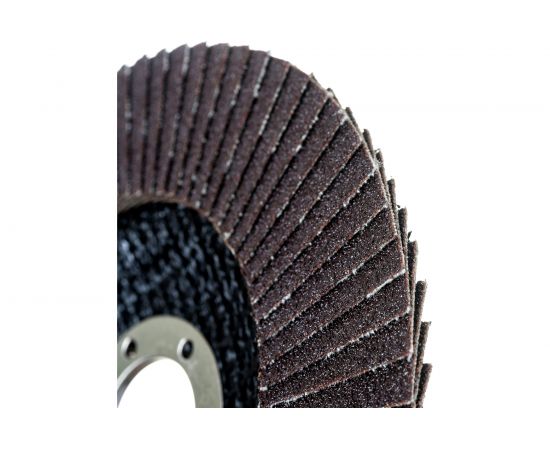 Круг лепестковый торцевой тип 27 125x22 мм, Р100 RING 249521 – изображение 3