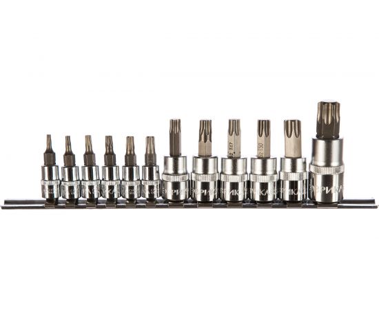 Набор вставок TORX (12 пр; 1/4""; 3/8""; 1/2""; T10-T60) ЭВРИКА ER-95070 