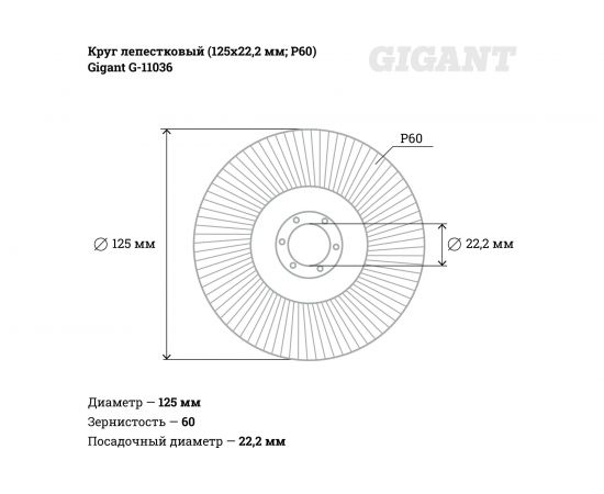 Круг лепестковый (125x22.2 мм; P60) Gigant G-11036 – изображение 6