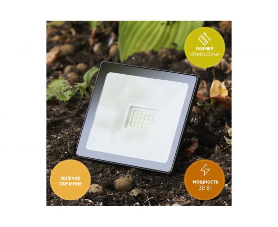 Светодиодный прожектор REXANT 30 Вт зеленое свечение 605-016 – изображение 2