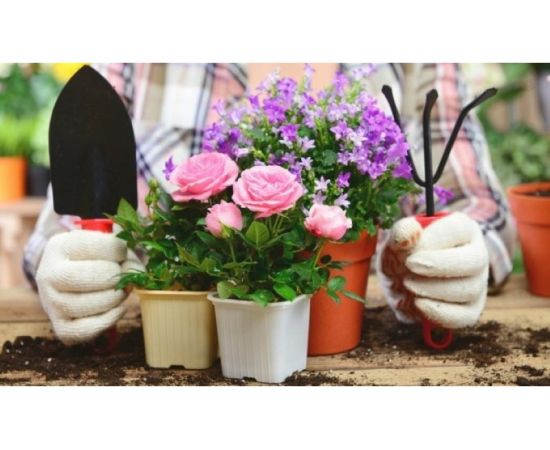 Универсальный грунт Сила Суздаля Цветы 5 л 4680004060185 – изображение 4