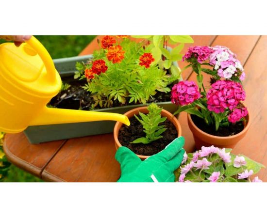 Универсальный грунт Сила Суздаля Цветы 5 л 4680004060185 – изображение 5