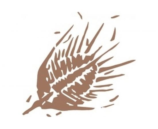 Виниловый трафарет STMDECOR ЖУК HWC-T2-08 