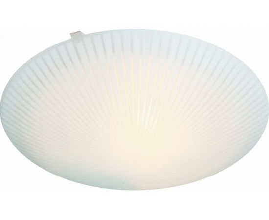 Настенно-потолочный декоративный светильник Apeyron, 1хЕ27, 60Вт, 220В, основание белое, плафон стекло, лампы нет 16-180 