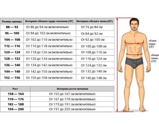 Жилет СПЕЦ АВАНГАРД бежевый/черный, р. 48-50/170-176 31031258-4850/3 – изображение 2