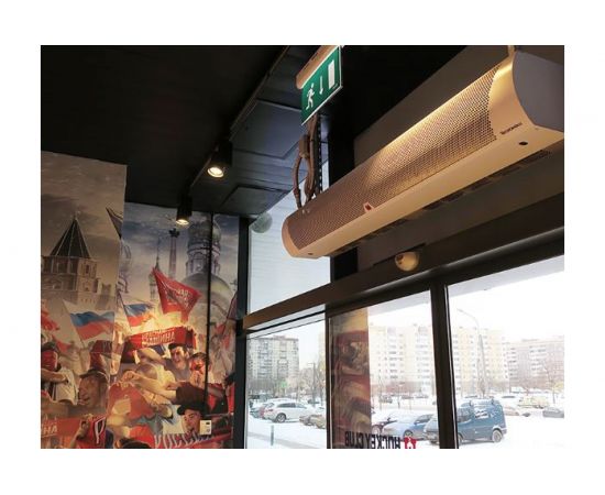 Тепловая завеса Тепломаш КЭВ-60П3141W 133003 – изображение 2