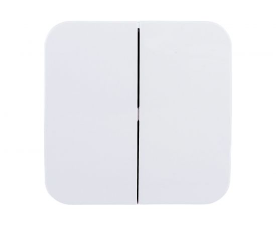 2-клавишный выключатель Schneider Electric BLANCA, открытой установки, 6А, 250B, белый BLNVA065011 