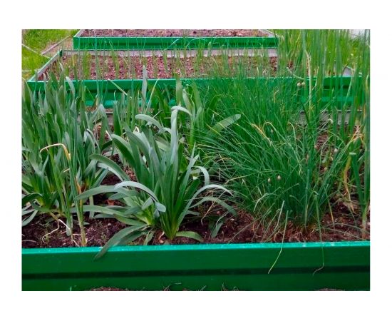 Грядка ГеоПластБорд 1x3 м, высота 20 см, зелёная 5951320Gr – изображение 5