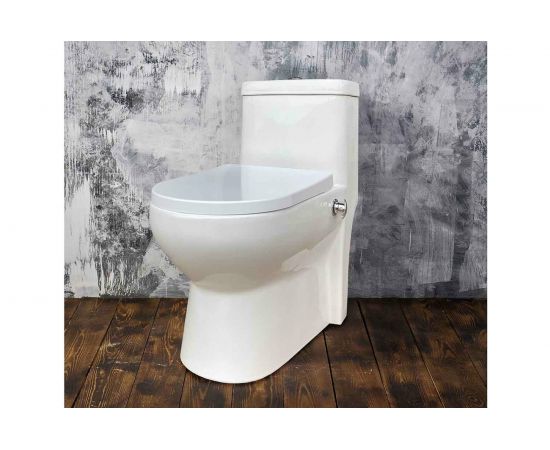 Монолит EVA GOLD T1016B со встроенным биде, сиденье ДП, с гофрой и подводкой УТ-00002976 – изображение 2