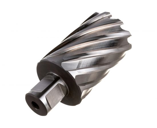 Фреза кольцевая HSS (40x55 мм; Weldon 19) ROTORICA RT.4215040 – изображение 2