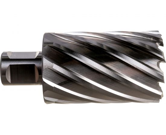 Фреза кольцевая HSS (40x55 мм; Weldon 19) ROTORICA RT.4215040 – изображение 3