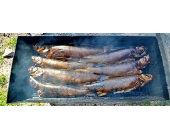 Трехуровневая коптильня Петромаш 65x25x23 см, сталь 1.2 мм, поддон 57584 – изображение 3