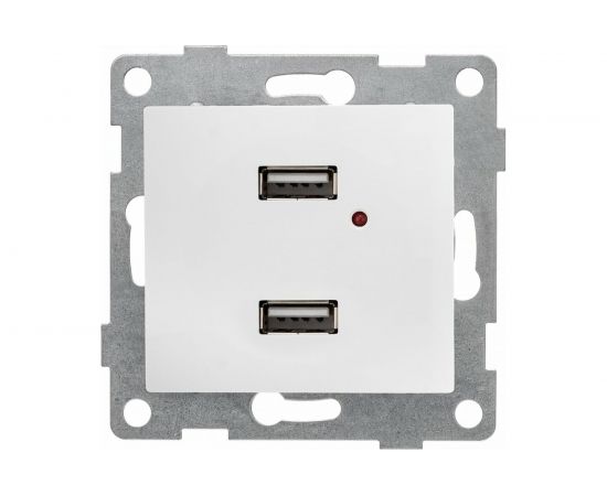 Розетка USB GUSI ELECTRIC Bravo двойная, СУ, белая С10USB2-001 