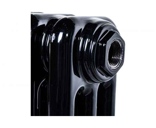 Радиатор IRSAP TESI 30565/16 CL.10 RAL9005 черный Т30 RR305651610A430N01 – изображение 2