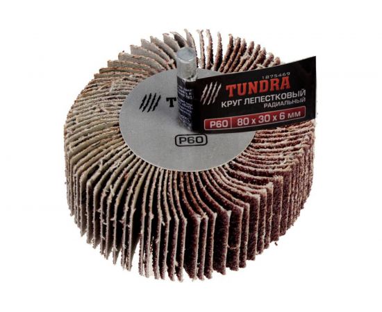 Круг лепестковый радиальный (80х30х6 мм; Р60) TUNDRA 1875469 