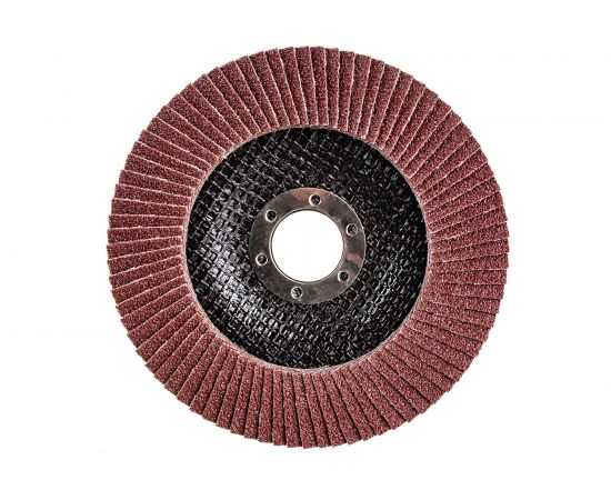 Диск лепестковый (125х22 мм; Р80) VOREL 7986 – изображение 2