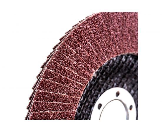 Диск лепестковый (125х22 мм; Р80) VOREL 7986 – изображение 3