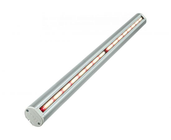 Фитосветильник Zema ZML-0175 