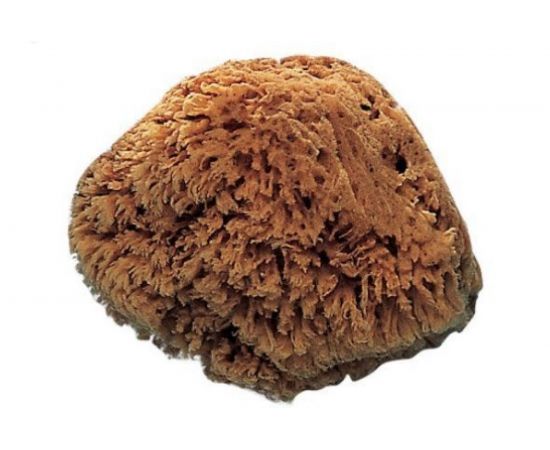 Губка VaiVen морская, натуральная 09589 – изображение 2