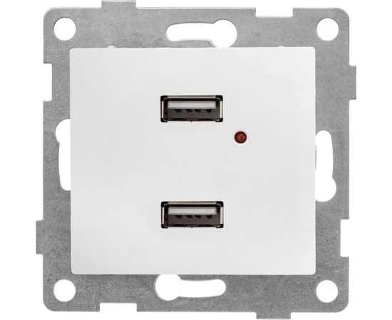 Механизм розетки GUSI ELECTRIC двойной, СУ, жемчуг С10USB2-028 