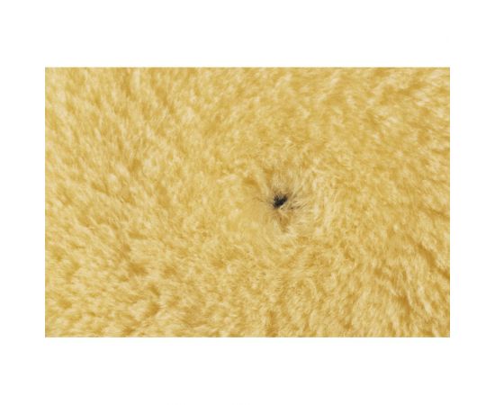 Диск шерстяной жёлтый полировальный (150-180 мм) RUPES 9.BW180M/48 – изображение 2