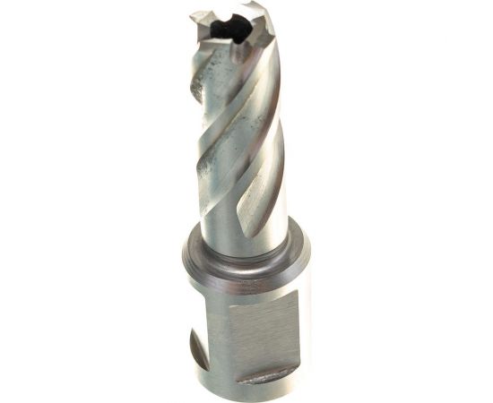 Сверло по металлу корончатое Weldon 19 мм HSS-Co (13х30х55 мм) D.BOR 474130102D – изображение 2