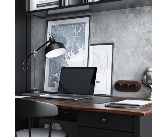 Розетка с заземлением WERKEL W5871051/ Vintage (черный матовый/хром) a055919 – изображение 2