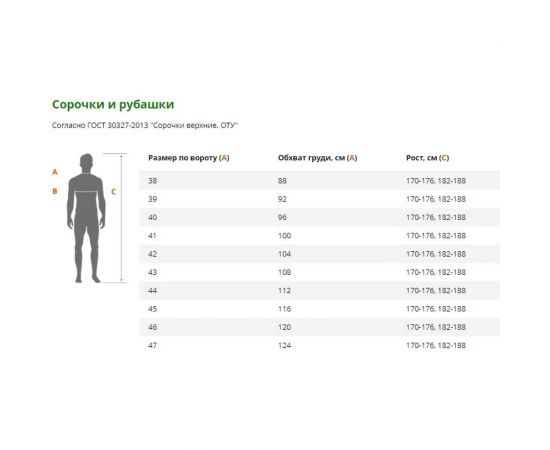 Рубашка ГК Спецобъединение ПОЛО серая Бел 543.08/XXXL 60 – изображение 2