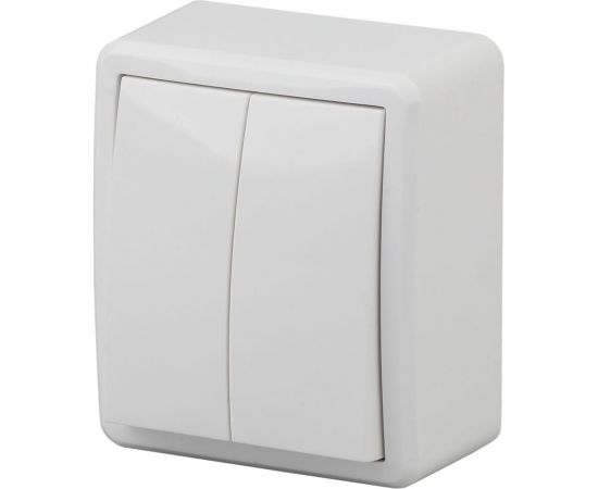 Двойной выключатель ЭРА 11-1204-01 10АХ-250В, IP20, ОУ, Эксперт, белый Б0020663 