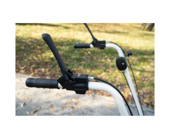 Подметально-уборочная машина TIELBURGER TK17 Honda AD-381-540TS – изображение 9