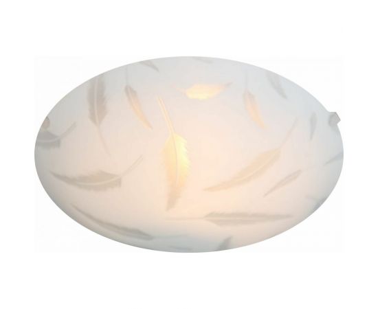 Настенно-потолочный декоративный светильник Apeyron, 1хЕ27, 60Вт, 220В, основание белое, плафон стекло, лампы нет 16-179 