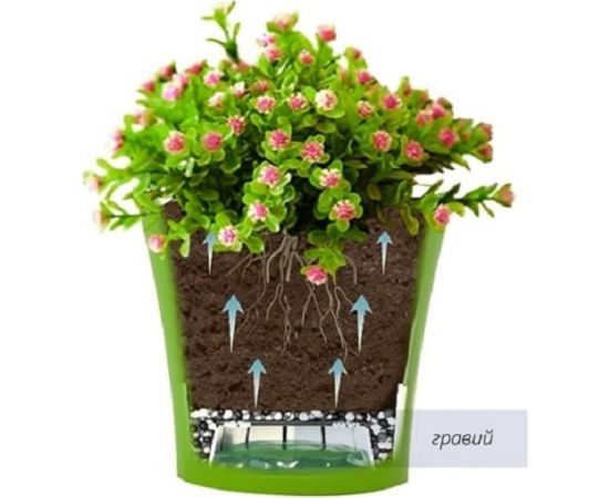 Горшок SANTINO АРТЕ 0.6 л, 11х9.7 см, прозрачный/прозрачный 049090 – изображение 2