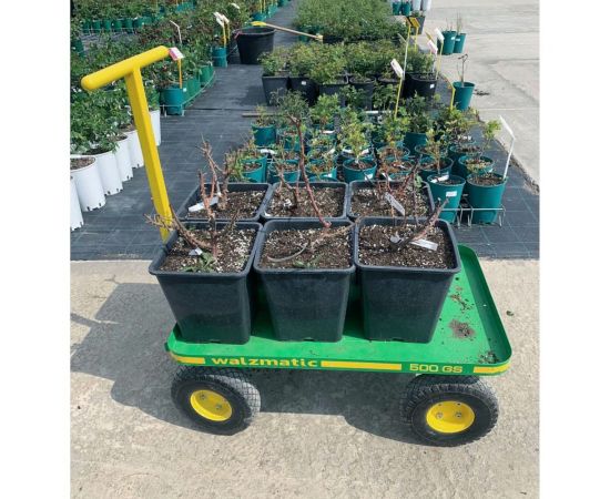 Платформенная тележка WALZMATIC 500GS 00000011082 – изображение 3